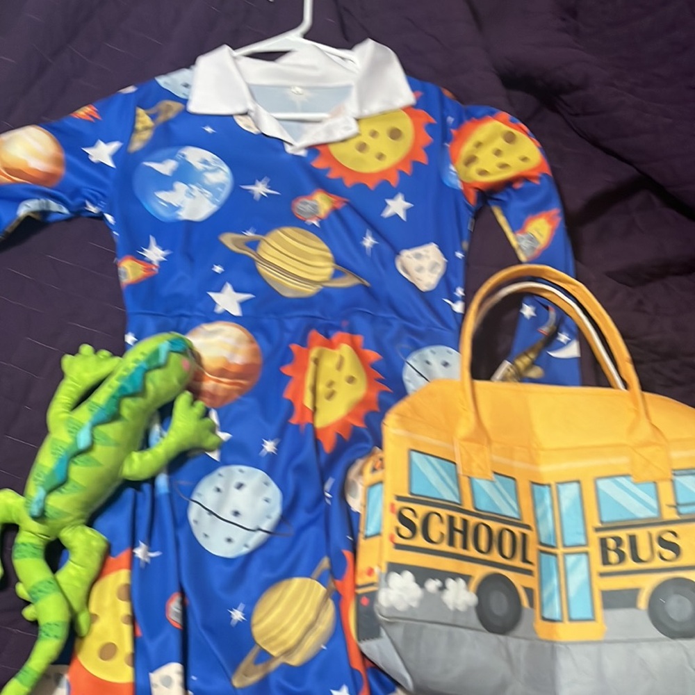 Mrs Frizzle costume